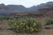 Grand Canyon National Park