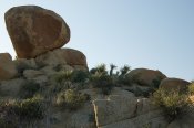 Joshua Tree National Park, California